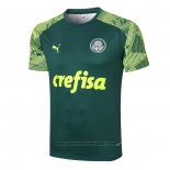 Camisola de Treinamento Palmeiras 2020-2021 Verde