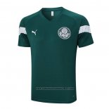 Treinamento Palmeiras 2023-2024 Verde