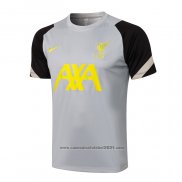 Camisola Treinamento Liverpool 2021-2022 Cinza