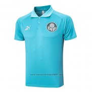 Camisola Polo del Palmeiras 2023-2024 Verde