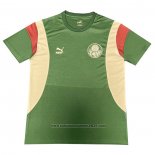 Treinamento Palmeiras 2023-2024 Verde